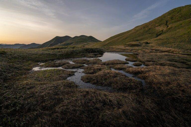 The Enchantment of Traveling by Horseback in Mongolia: Riding Across Steppes and Mountains