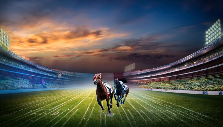 How To Play Reddy Book For The First Time On Mobile?