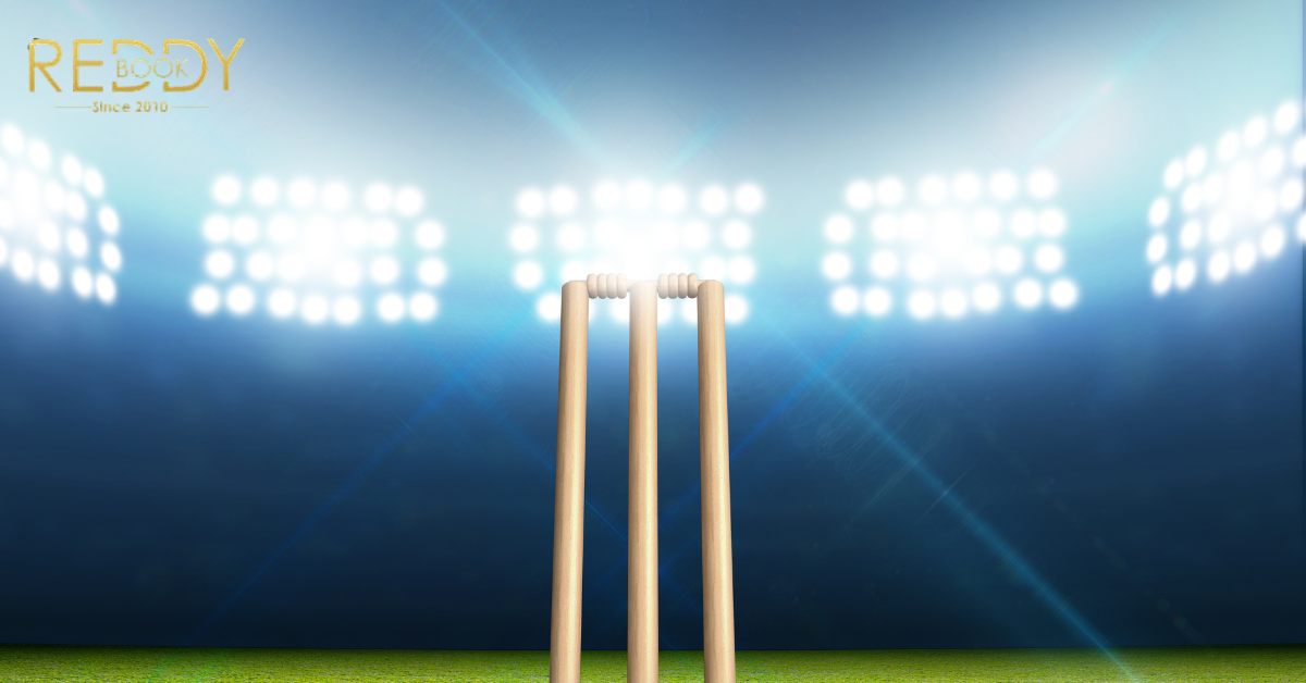 How Does Reddybook Deliver Real-Time Insights with Maximum Accuracy?